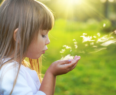 Što trebamo znati o peludnim alergijama u dječjoj dobi?