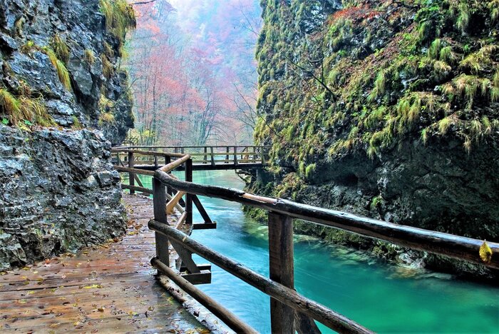 Izleti u Sloveniju: Top mjesta za obiteljske avanture i prirodne ljepote