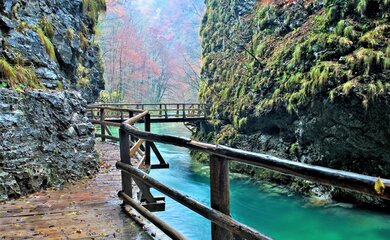Izleti u Sloveniju: Top mjesta za obiteljske avanture i prirodne ljepote